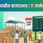 Todays Soyanin Bajarbhav