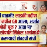 ladki bahin yojna new GR